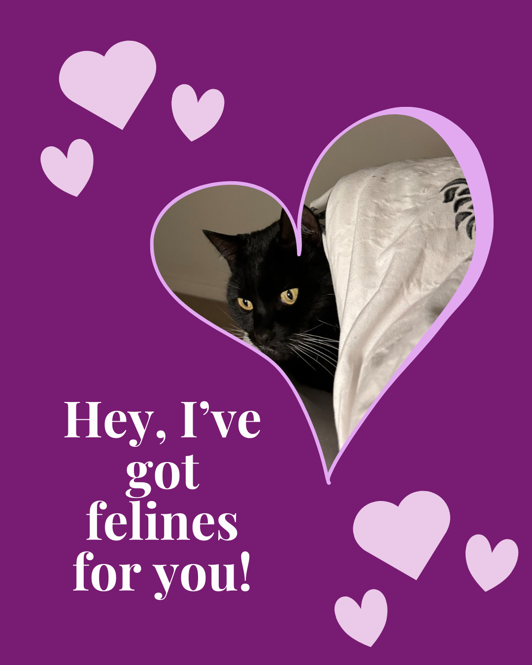 Valentine's Day 2026 - image 5